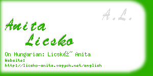 anita licsko business card